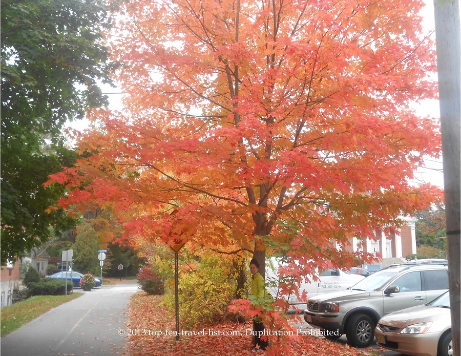 Bright fall foliage along the Minuteman Bikeway in Boston