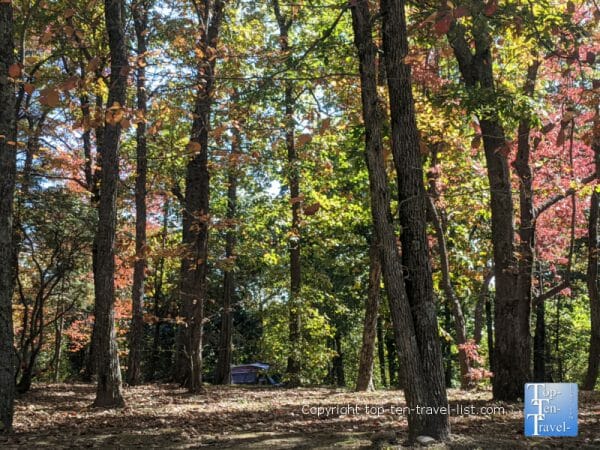 Beautiful fall foliage in Flat Rock, North Carolina 