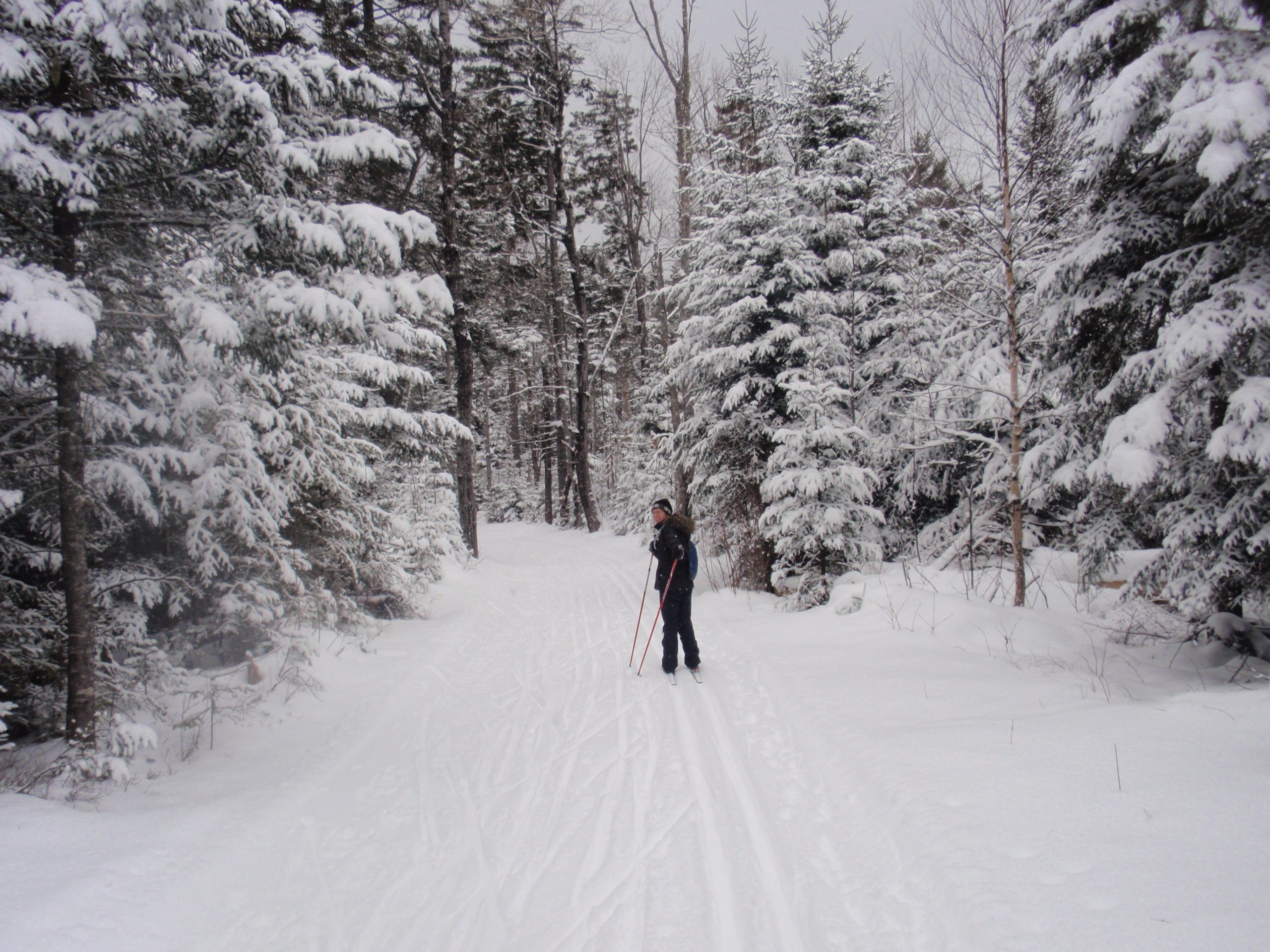 Cross country skiing at New Hampshire’s Bretton Woods Nordic Center