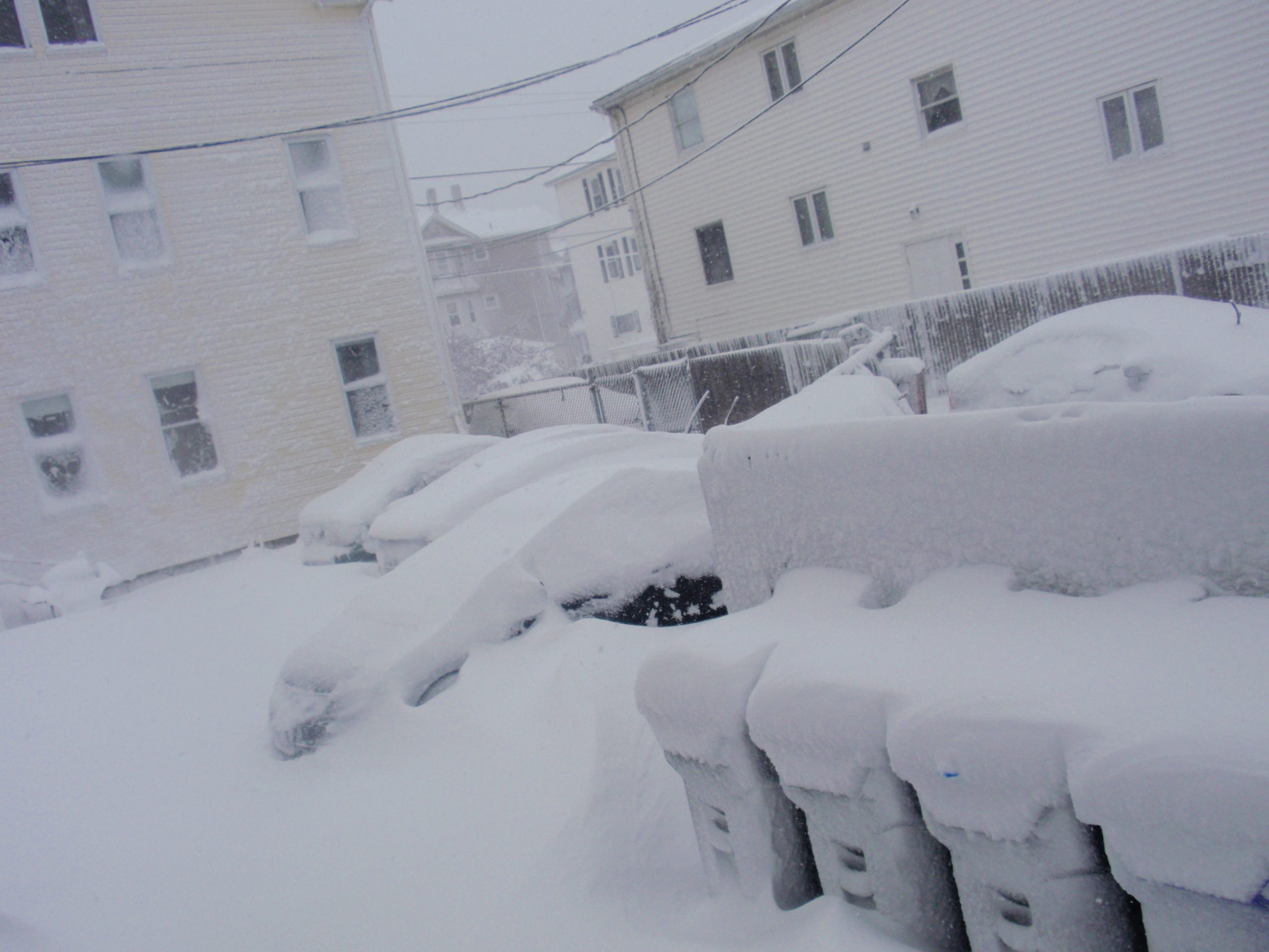I Survived Winter Storm Nemo