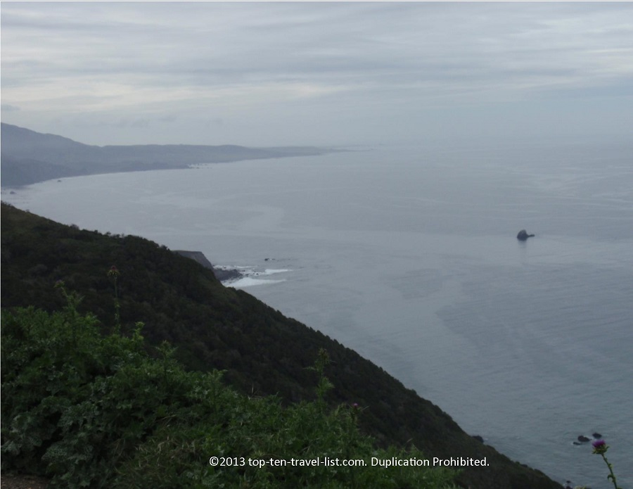 Pacific Coast Highway Road Trip: Things to do and see along Hwy 1