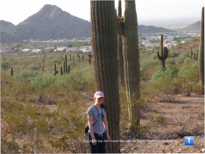 6 Fantastic Hiking Areas in Phoenix