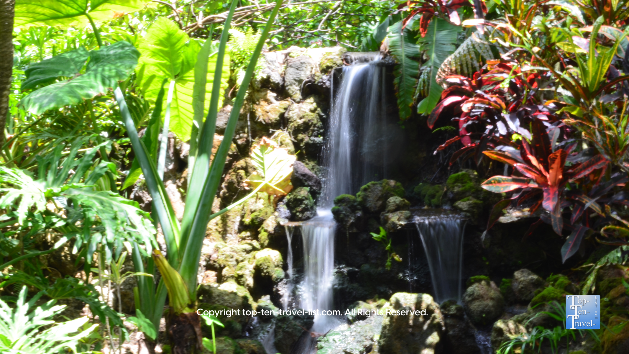 A St. Petersburg Oasis: Beautiful, Tropical Sunken Gardens