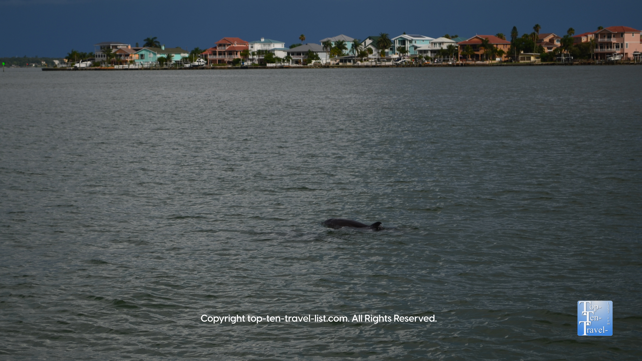 Dolphin Watching in Madeira Beach, Florida