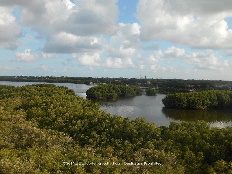 Peaceful Hiking in St. Petersburg: Weedon Island Preserve