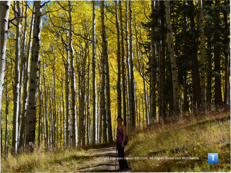 9 Places to See Fall Color in Arizona