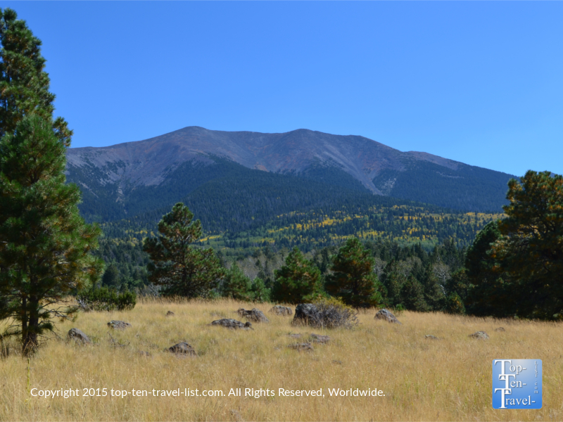 Bismark Lake: A Peaceful Walk through Northern Arizona Wilderness