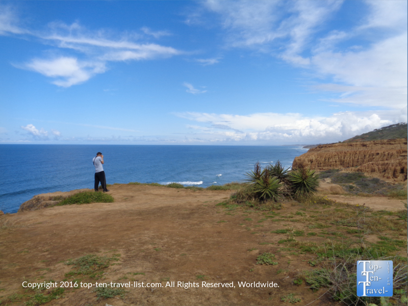 Photographing gorgeous Torrey Pines Nature Reserve in La Jolla CA