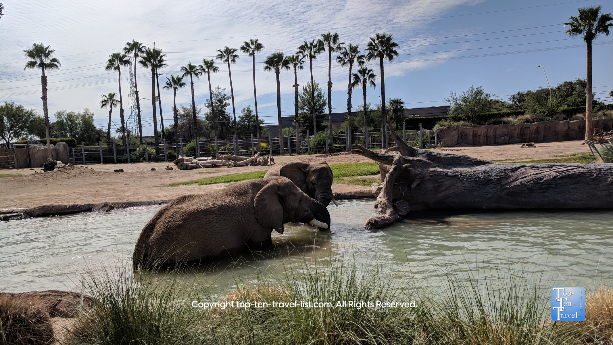 Attraction of the Week: Reid Park Zoo in Tucson
