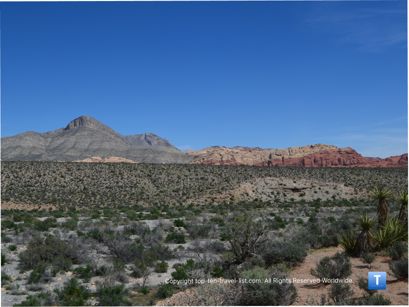 Red Rock Canyon: A Natural Oasis Just 20 Miles from The Strip