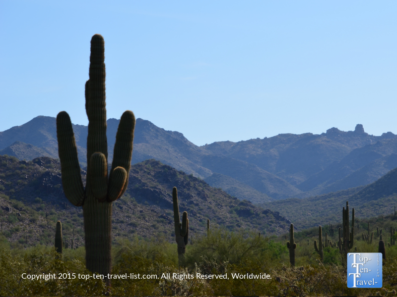 Beautiful cacti and mountain views at the Scottsdale McDowell Sonoran Preserve