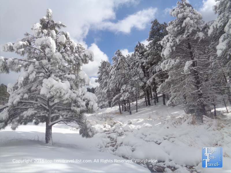 Snow covered park after a major winter storm in Kachina Village, Arizona