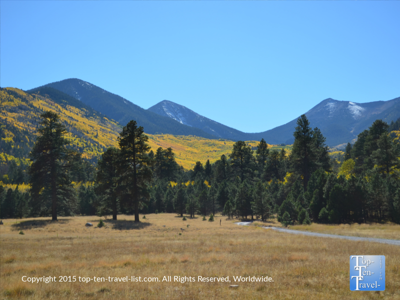 Fall colors on the Peaks near Lockett Meadow in Flagstaff, Arizona 