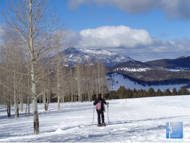 Snowshoeing the gorgeous Aspen Nature Loop in Flagstaff, Arizona 