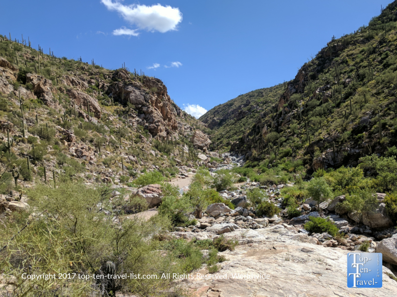 Scenery along the Tanque Verde hike in Tucson, Arizona 