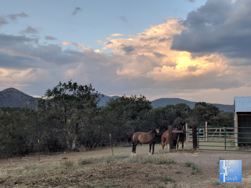 Horses at the Bear Mountain Lodge in Silver City