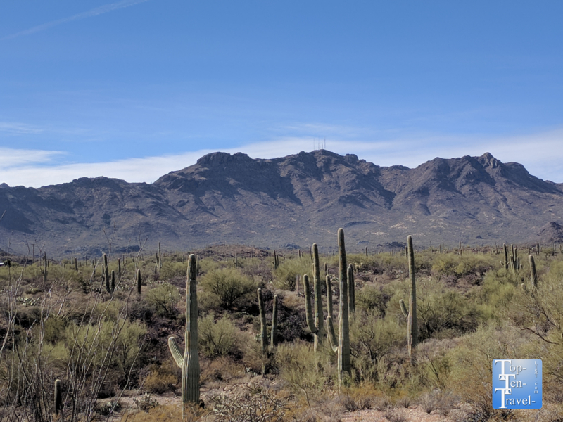 Sweetwater Preserve trail system in Tucson, Arizona