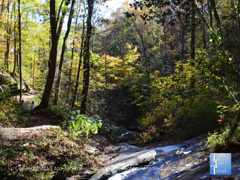 Peaceful forested scenery along the Carrick Creek Nature trail