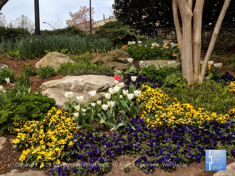 Spring flowers in downtown Greenville, South Carolina 