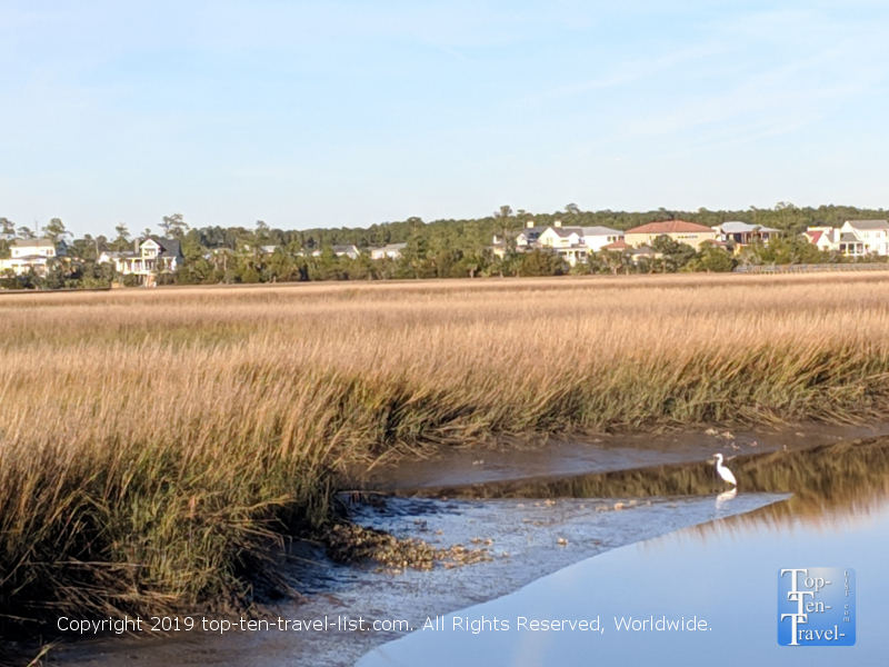 Palmetto Islands County Park in South Carolina 