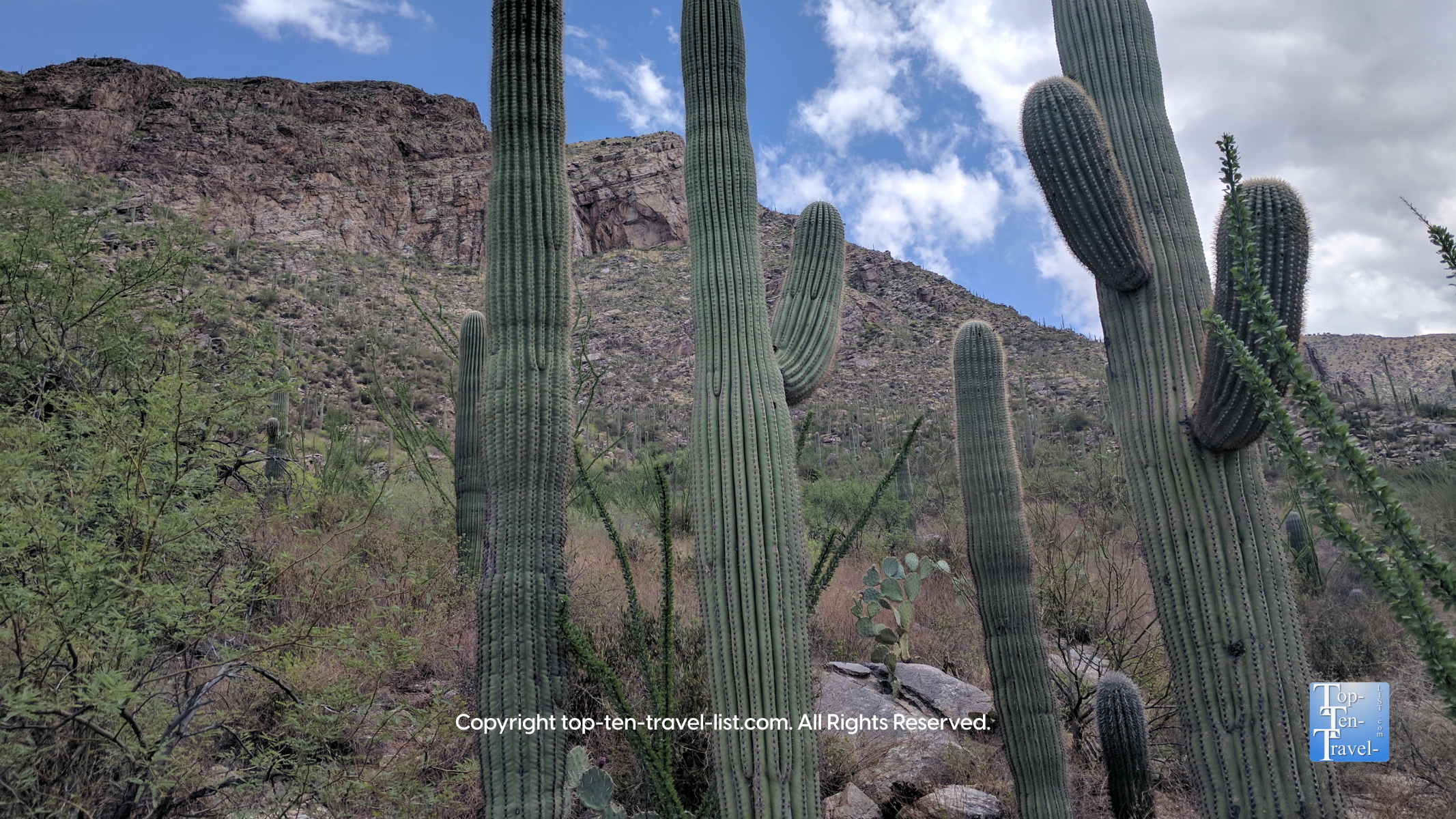 Hiking Hotspot: Pima Canyon in the Catalina Foothills