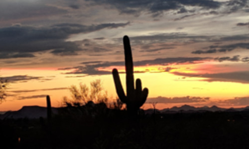 10 Must-Do’s in Tucson, Arizona