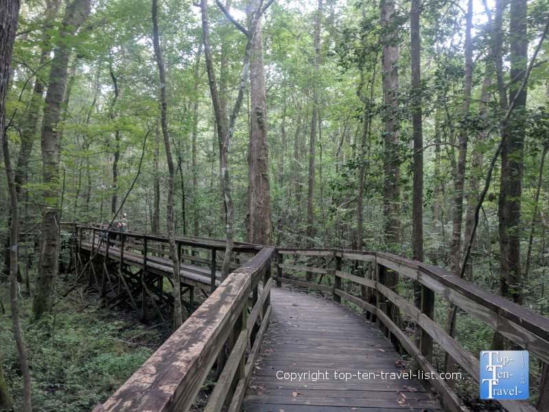 Boardwalk nature trail at Congaree National Park in South Carolina