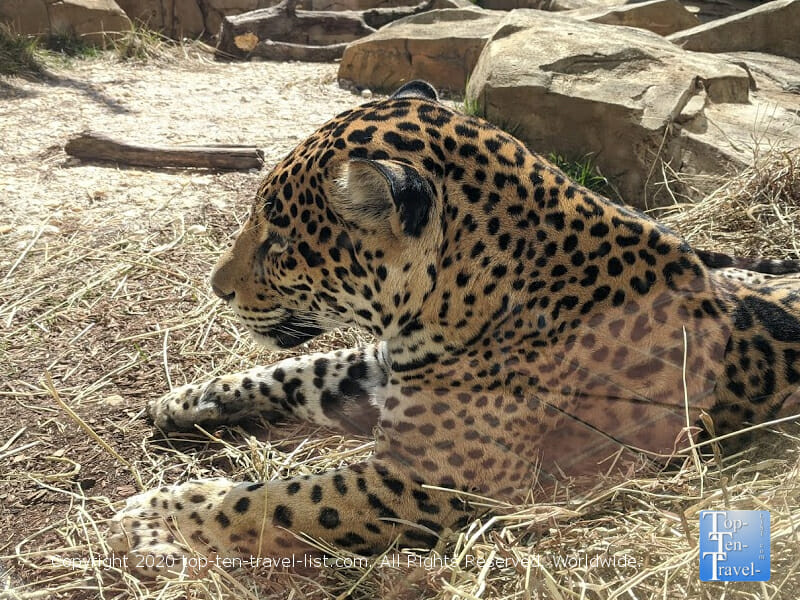 Elmwood Park Zoo in Norristown, PA