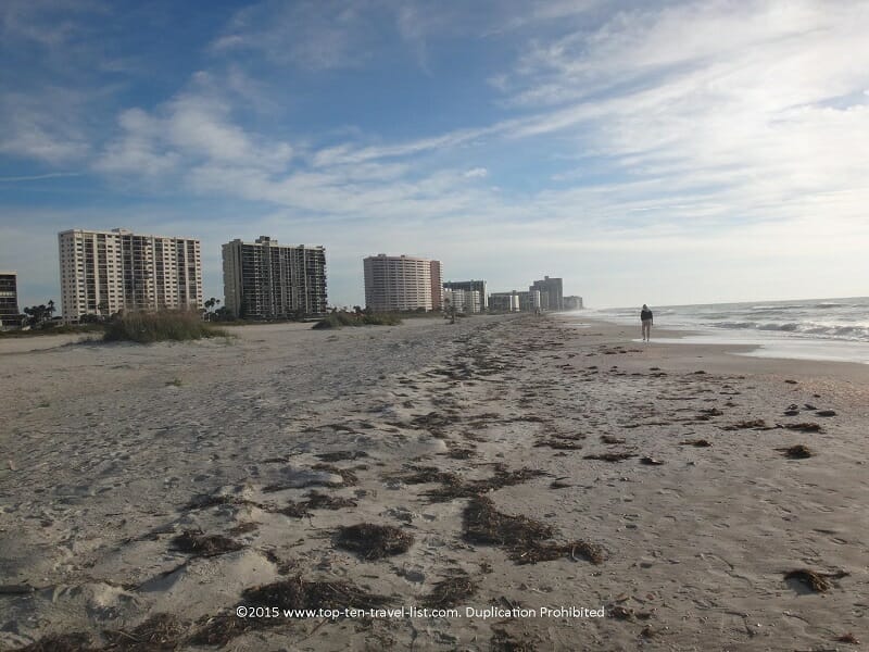 Beachcombing on Sand Key Beach in Clearwater, Florida 