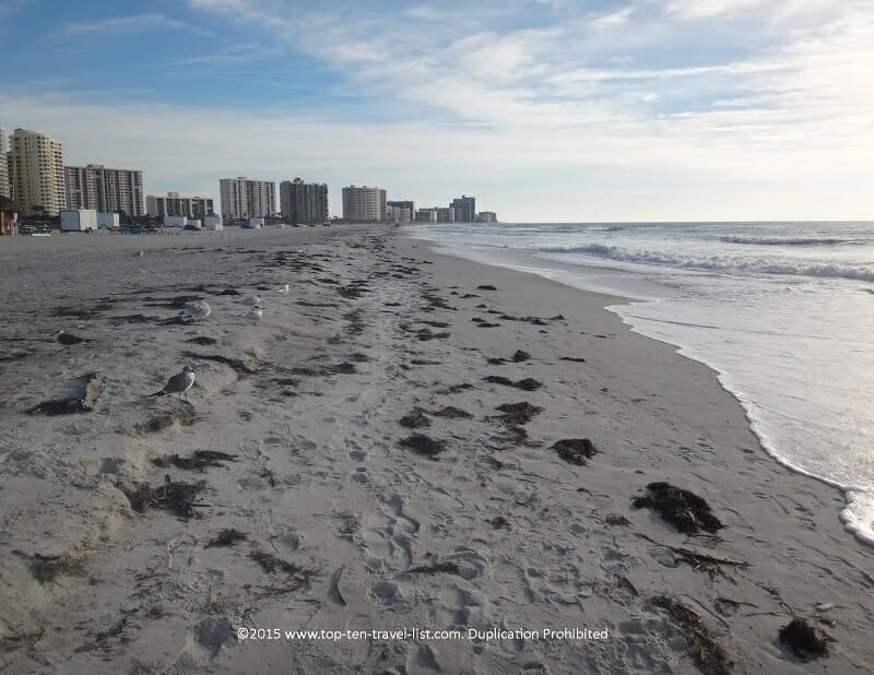 The Ultimate Tampa Bay Beach Guide