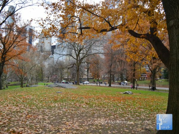 Autumn in Central Park