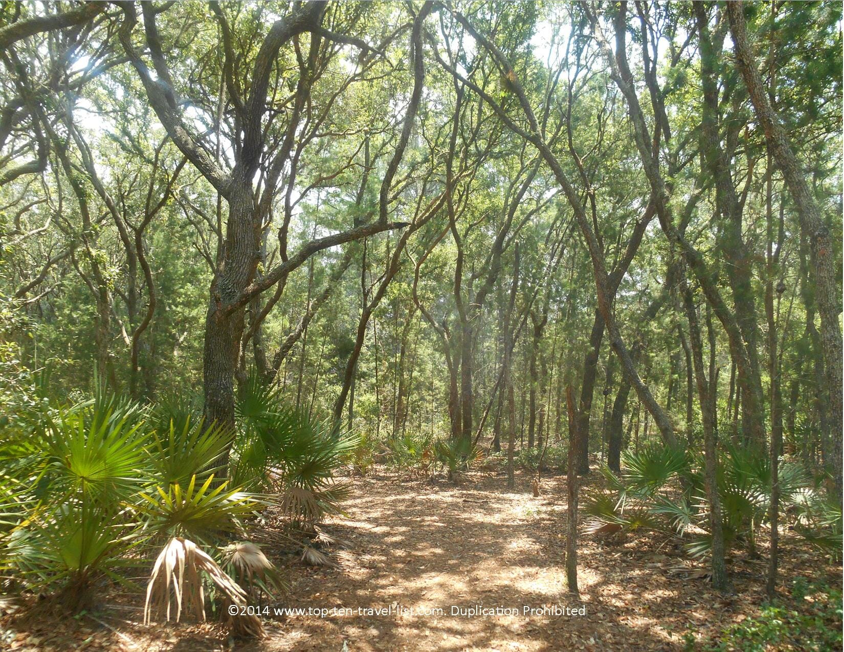 Escaping the Florida Heat and Crowds via the Beautiful Trails of Jay B. Starkey Wilderness Park
