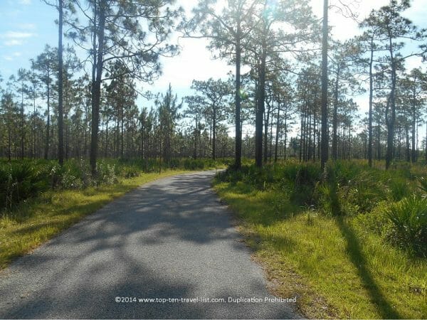 Jay B. Starkey bike path in New Port Richey, Florida 