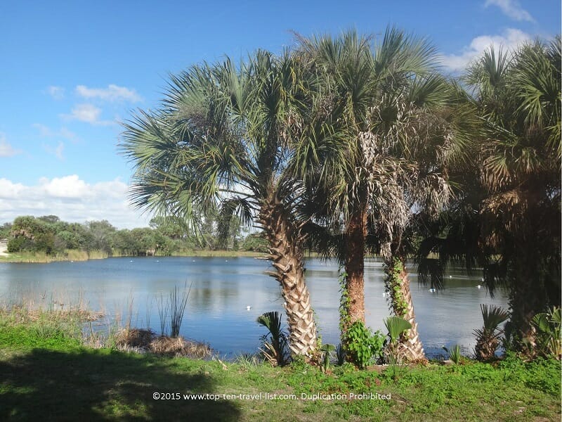 Oscar Scherer State Park: A Relaxing Break on Florida’s Southwest Coast