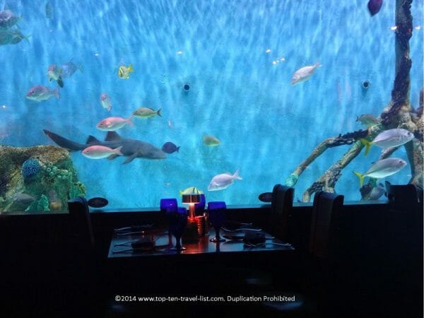 Aquarium from Tanked reality TV show at Rumfish Grill in St. Pete Beach, Florida 