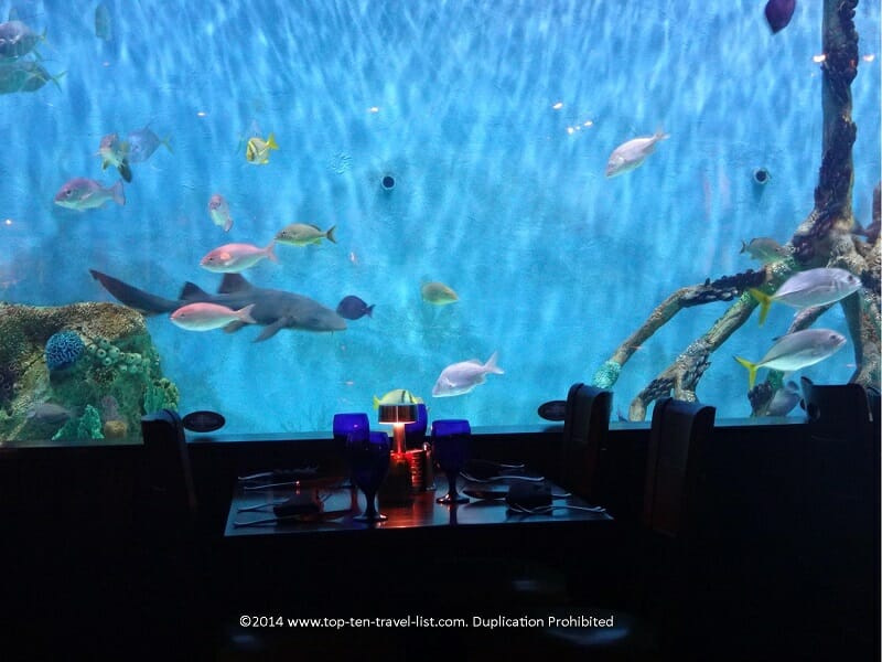 Guy Harvey’s Rumfish Grill in St. Pete Beach
