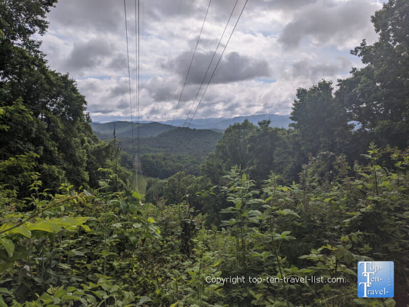 Hiking Hotspot: Collier Cove in WNC