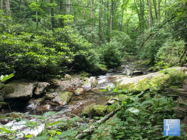 Courthouse Falls trail in Western North Carolina 