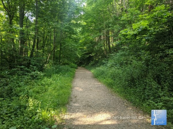 Hiking trail to Roaring Fork waterfall in Western North Carolina 