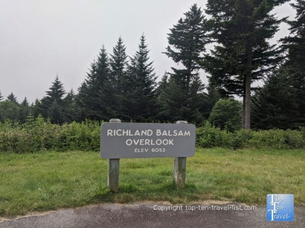 Beautiful pines at the Richard Balsam overlook on the Blue Ridge Parkway