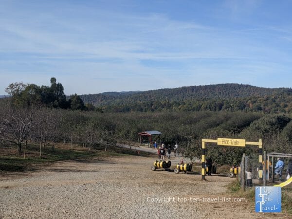 Gorgeous mountain scenery at Sky Top Orchard in Flat Rock, North Carolina 