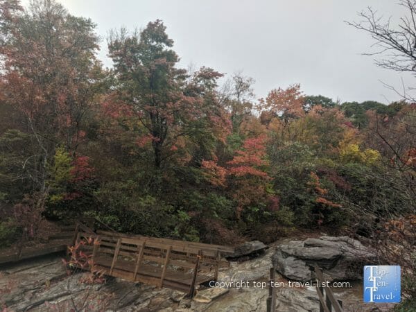 Colorful fall foliage along the Graveyard Fields trail along the Blue Ridge Parkway 