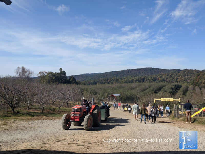 Tractor ride at Sky Top Orchard in Flat Rock, North Carolina 