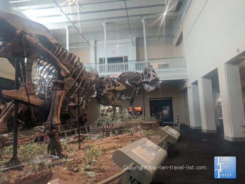 Dinosaur exhibit at the Carnegie Museum of Natural History in Pittsburgh