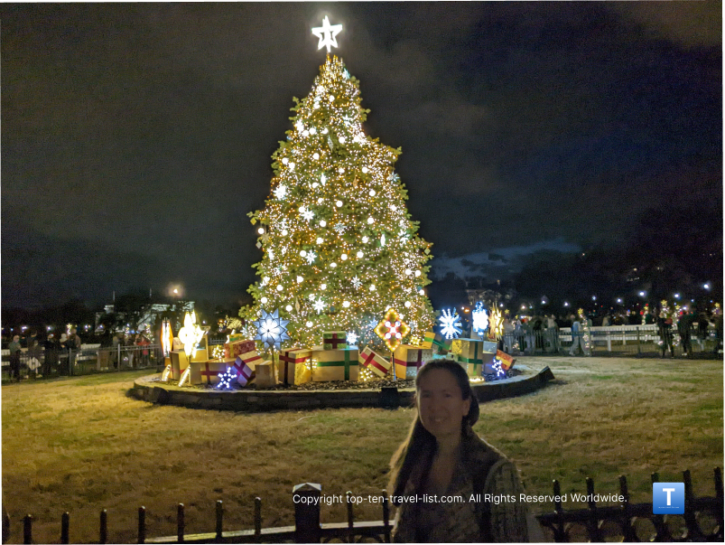 Dazzling Christmas Trees Around the Country