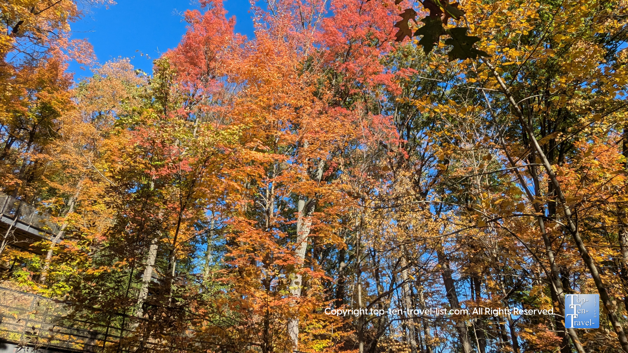 Cleveland Autumn Bucket List: Hiking, Leaf Peeping, & More