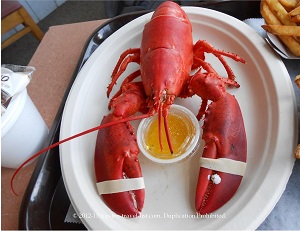 Wood’s Seafood – Plymouth - Top Ten Travel List