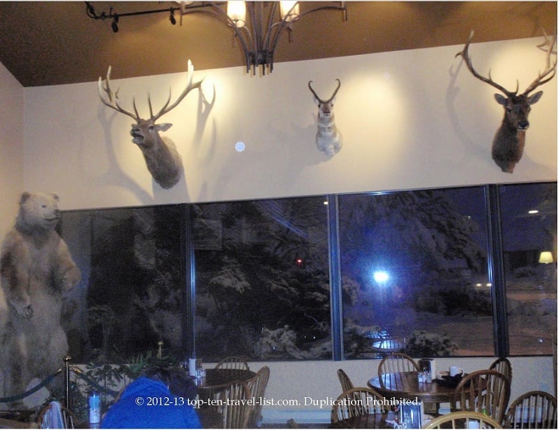 Book a night in a rustic lodge - Top Ten Travel List