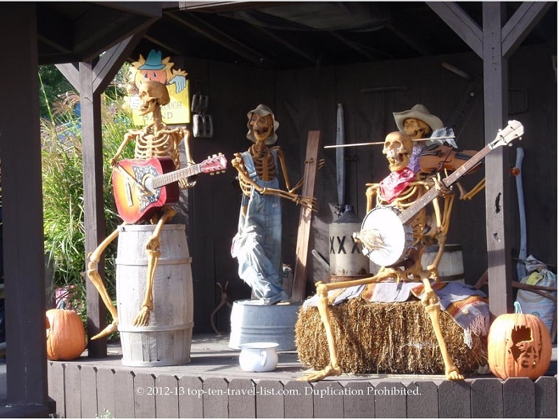 Head over to Bengtson's Pumpkin Patch in October - Top Ten Travel List