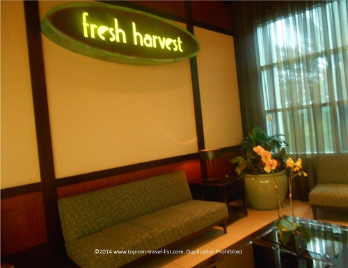 Fresh Harvest at the Hard Rock Hotel - Tampa